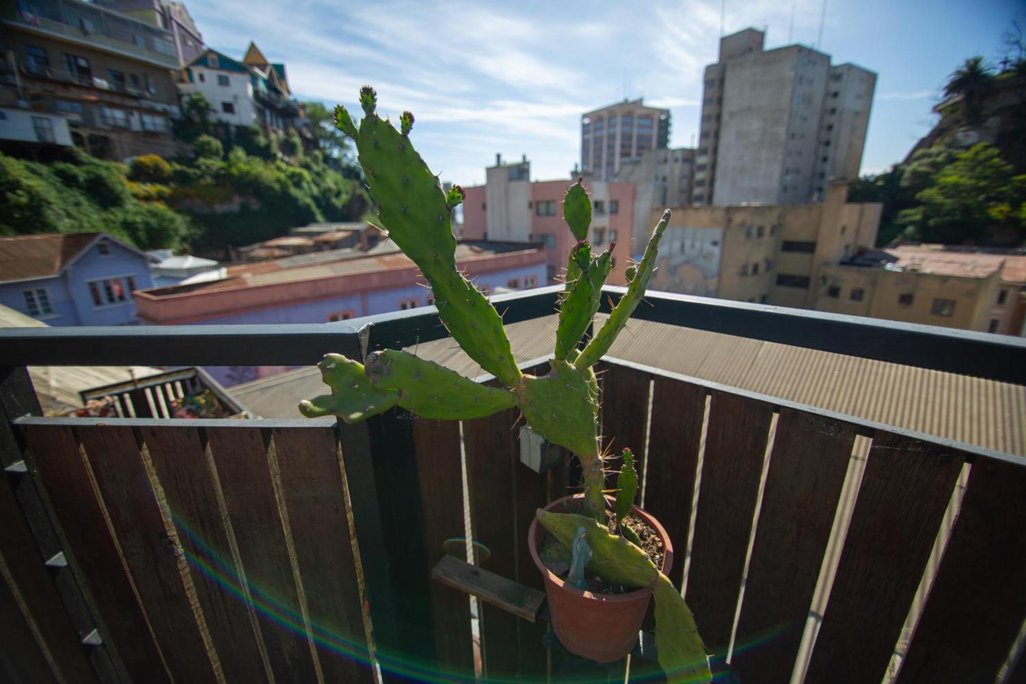 La Casa Del Puerto, Hostal Cultural, Cerro Alegre Valparaiso Exterior photo